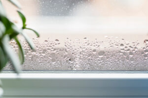 Condensation on a Window 